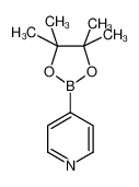 吡啶-4-硼酸频哪醇酯