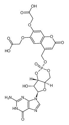 cyclic guanosine-3',5'-monophosphate [6,7-bis(carboxymethoxy)coumarin-4-yl]methyl ester