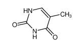 胸腺嘧啶